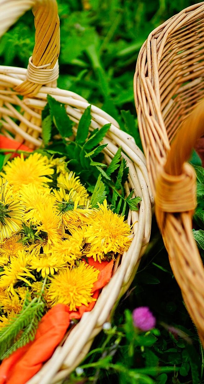 Lokale Spezialitäten aus Brixen und seiner Umgebung