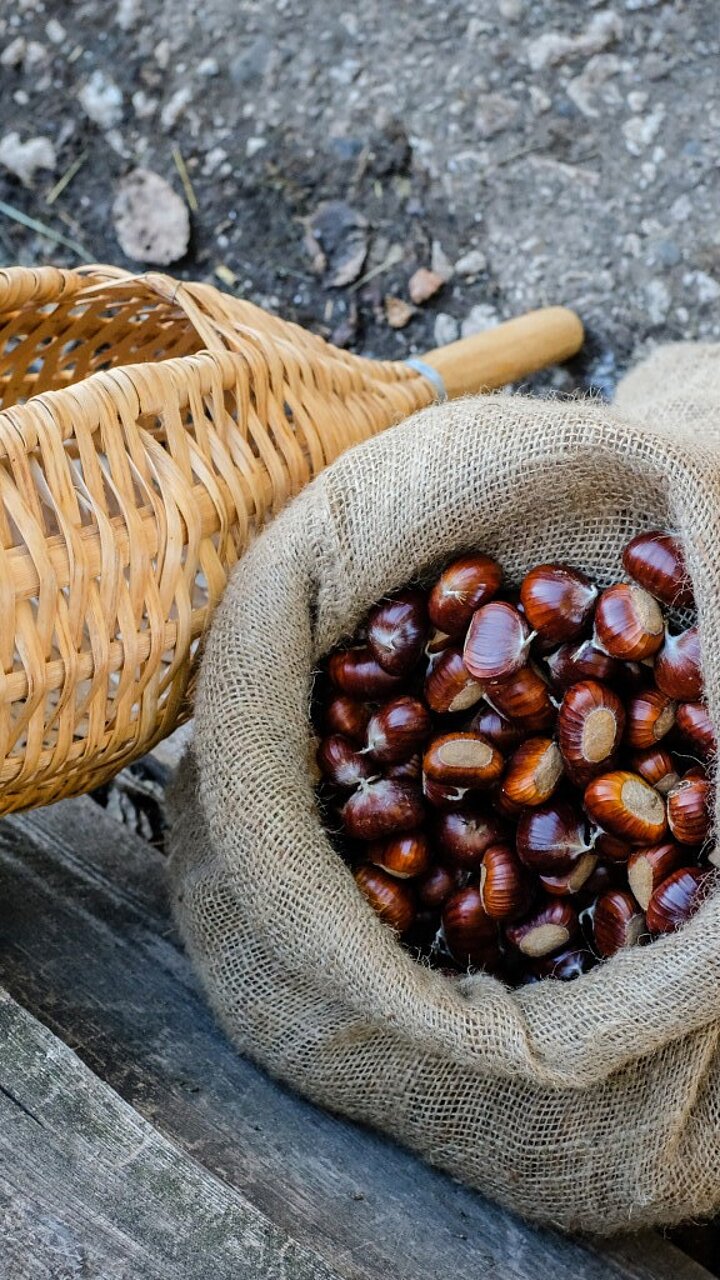 Törggelen in Südtirol: ein geselliger und genussvoller Brauch