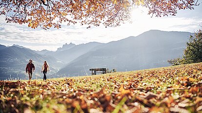 Geführte Wanderungen für Alleinreisende durch Südtirol: Schrüttensee in Vahrn bei Brixen