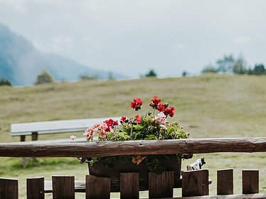 Green holiday destinations in Italy: the villages around Brixen