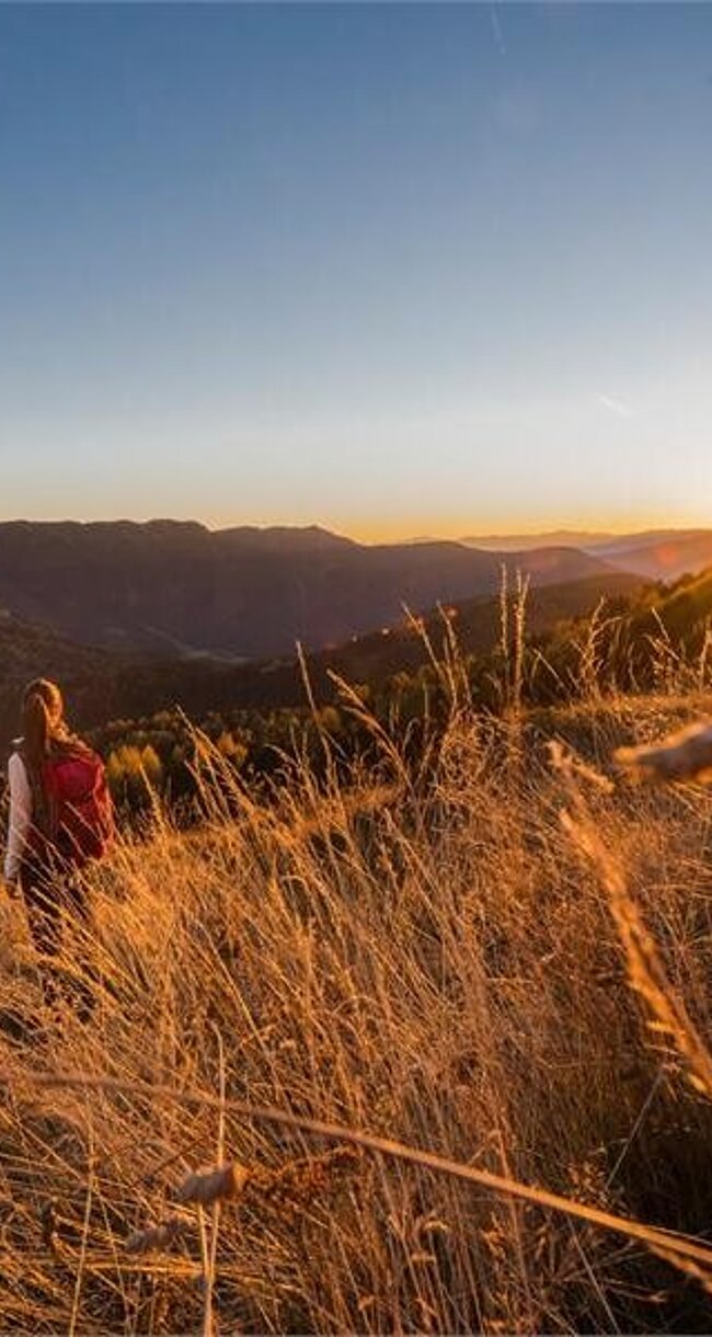 Ausflüge mit Wanderführern in Brixen: Sonnenuntergangswanderung auf der Plose